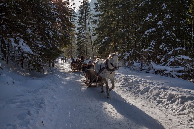 Zakopane Horse-Drawn Rides with Local Guide and Food Tasting - Who should book this evening