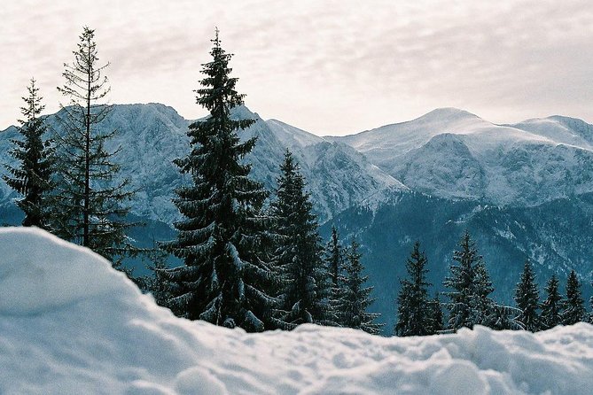 Zakopane private tour from Krakow with Thermal Baths - Who will enjoy this Zakopane day trip