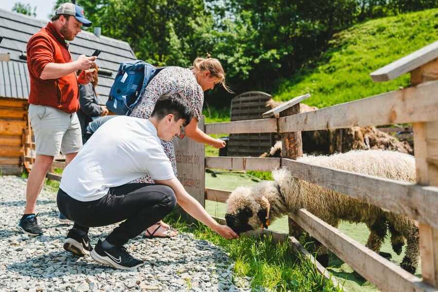 Zakopane & Tatra Mountains from Krakow – Guided Tour - Chochołów for cheese, food, and local spirits
