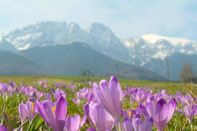 Zakopane & Tatra Mountains - Gubałówka Hill and the first mountain views