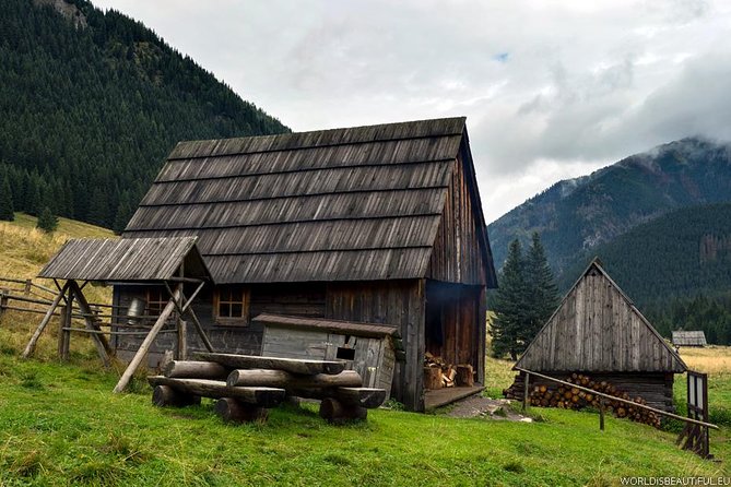 Zakopane & Thermal Springs: Private Tour - Who should book this Zakopane day trip?